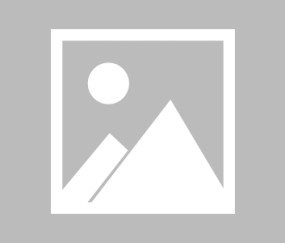 kaiyun入口-法国杯休战令引发全球体育风云突变，法国杯休战令引爆全球体育冲击波